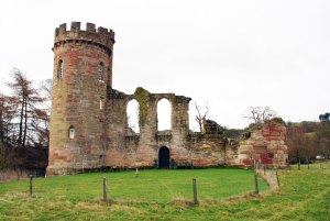 Miller's-mock-castle